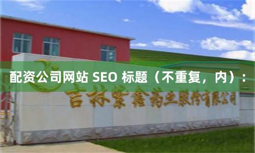 配资公司网站 SEO 标题（不重复，内）：