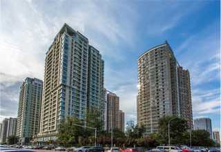 山东塔机安全监控系统批发厂家