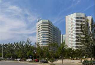 黑龙江活性炭箱自主研发